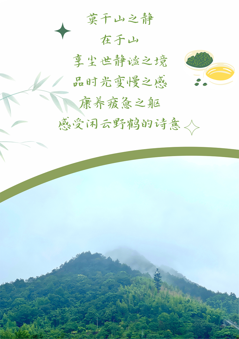 心心念廿 相伴南宫28NG相信 | 与德清相约 贺廿载诞辰