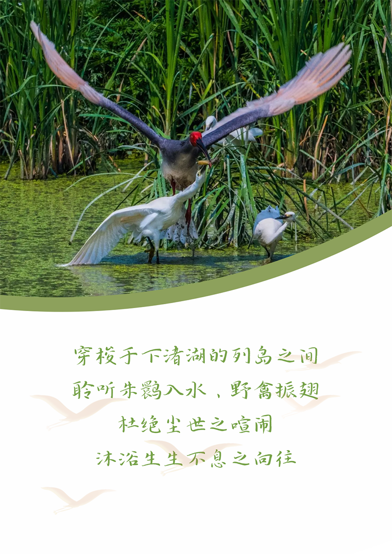 心心念廿 相伴南宫28NG相信 | 与德清相约 贺廿载诞辰
